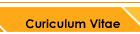 Curiculum Vitae